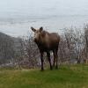 Отель Top of the Rock Lodge, фото 22