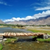 Отель The Ladakh Summer Camp, фото 9