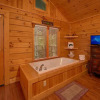 Отель Suite Harmony 243 - Two Bedroom Cabin, фото 2
