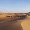 Отель Sahara Camels Camp, фото 16