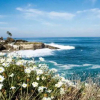 Отель Residence Inn La Jolla, фото 24