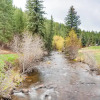 Отель Colorado Bear Creek Cabins, фото 22