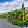 Отель Que Toi Village Resort Phu Yen, фото 1
