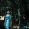 Отель Wuyishan Six Shang · Waterfront Mountains and Beautiful Stays, фото 12