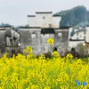 Отель Wuyuan waiting for your homestay, фото 4
