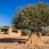 Отель Okonjima Plains Camp, фото 10