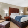 Отель Comfort Inn & Suites Columbus East, фото 6