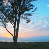 Отель Hilton Grand Vacations Plantation Beach Club at South Seas Island Resort, фото 8