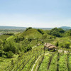 Отель Oasi di Pace Nel Sito Unesco Del Prosecco Docg, фото 15