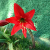 Отель Pousada Travessias, фото 25