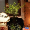 Отель Kaiyuan Ancient Homestay, фото 17