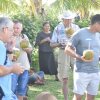 Отель Likualofa Beach Resort, фото 10