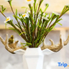 Отель Qionghai Wuyi chuangxiang hotel, фото 5