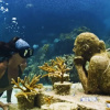 Отель Nice and Great location to steps to Mamitas beach 2 BR by Happy Address, фото 9