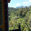 Отель Sudaji Guest House, фото 16