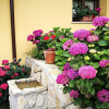 Отель Casas Rurales Entrecastaños, фото 28