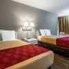 Отель Econo Lodge Dallas Airport North, фото 20