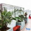 Отель Xianggeli Single-family Homestay (Shunfengshan Park West Gate, Shunde, Foshan), фото 5