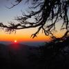 Отель Albert's Lodge at Mt. Mitchell, фото 7