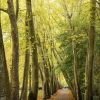 Отель Le Hameau de Courances в Куранс