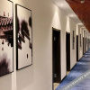 Отель Tianyi Journey Hotel (Zhoukou Huaiyang Aquarium), фото 2