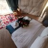 Отель Türkdomes Glamping, фото 8