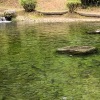 Отель Ojibaru Park, фото 16