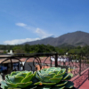 Отель Casa San Miguel Arcangel, фото 23