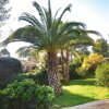 Отель Villa With 5 Bedrooms In Antibes With Shared Pool And Enclosed Garden 1 Km From The Beach, фото 9