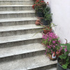 Отель Hair of the Dog Hostel, фото 15