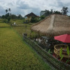 Отель Kubu Sari Guest House Ubud, фото 11