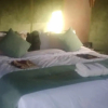 Отель luxury camp jumeirah resort, фото 3