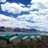 Отель Camp BlueWaters - Pangong, фото 5