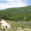 Отель Villa La Felce, a typical Tuscan farmhouse surrounded by nature-VILLA LA FELCE, фото 10