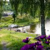 Отель Topcamp Mjøsa - Brumunddal, фото 39