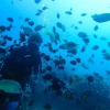 Отель WonderOcean Dive Hostel, фото 21