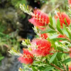 Отель Apartamentos Rurales Les Mestes, фото 8