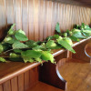 Отель Eucalyptus Treehouse, фото 16