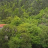 Отель Guesthouse on Rustaveli, фото 6
