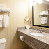 Отель Holiday Inn St. Louis Arpt West-Earth City, an IHG Hotel, фото 10