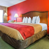 Отель Econo Lodge Inn & Suites, фото 6