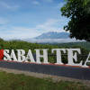 Отель Sabah Tea Resort, фото 1