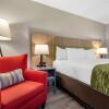 Отель Comfort Inn & Suites, фото 3