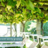 Отель Ascona Lodge, Pool & Garden Retreat, фото 7