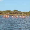 Отель Flamencamarones Hotel Familiar, фото 11