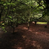 Отель Bosques del Sol Suites, фото 26
