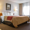 Отель Quality Inn and Suites Airport, фото 4