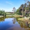 Отель Restful Holiday Home in Herselt With Garden, фото 37