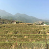 Отель Golden Rice Garden Sapa, фото 7