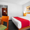 Отель City Express by Marriott Celaya Parque, фото 6
